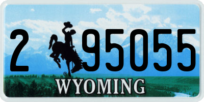WY license plate 295055