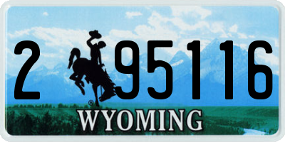 WY license plate 295116
