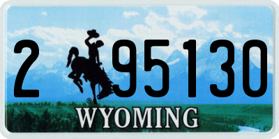 WY license plate 295130
