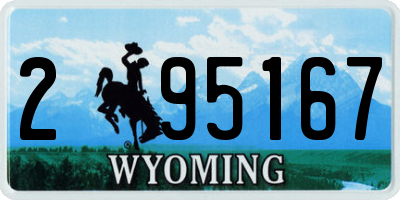 WY license plate 295167