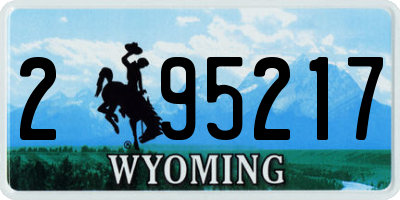 WY license plate 295217