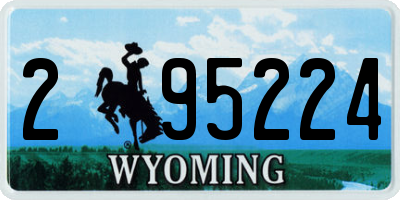 WY license plate 295224