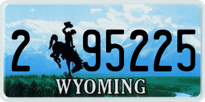 WY license plate 295225