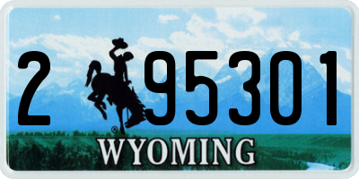 WY license plate 295301