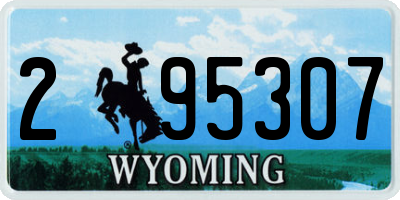 WY license plate 295307