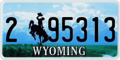 WY license plate 295313