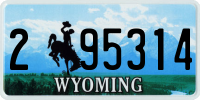 WY license plate 295314
