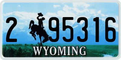 WY license plate 295316