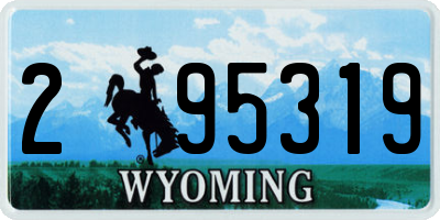 WY license plate 295319