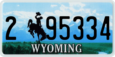 WY license plate 295334