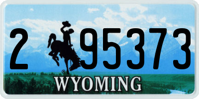 WY license plate 295373