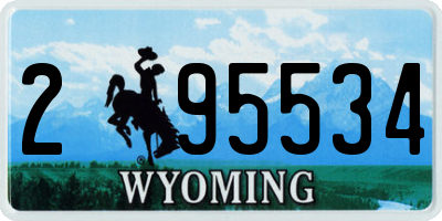 WY license plate 295534
