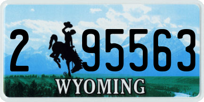 WY license plate 295563