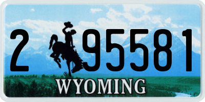 WY license plate 295581