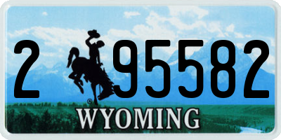 WY license plate 295582