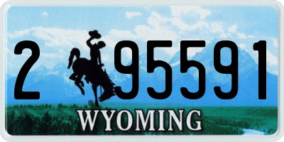 WY license plate 295591