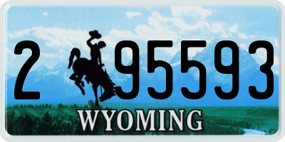 WY license plate 295593