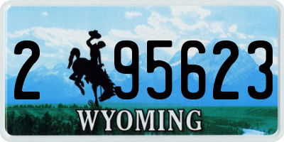 WY license plate 295623