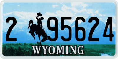WY license plate 295624