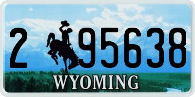 WY license plate 295638