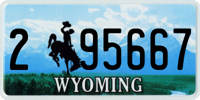 WY license plate 295667