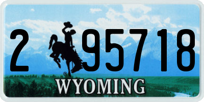 WY license plate 295718