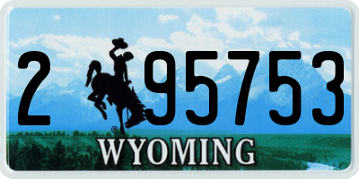 WY license plate 295753