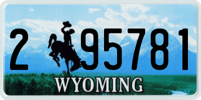 WY license plate 295781