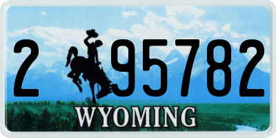 WY license plate 295782
