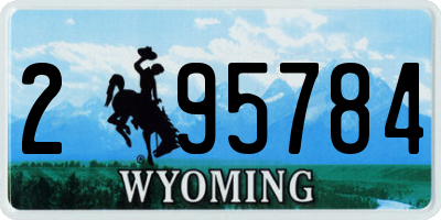 WY license plate 295784