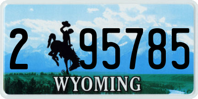WY license plate 295785