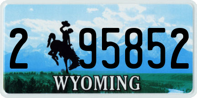 WY license plate 295852