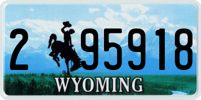 WY license plate 295918
