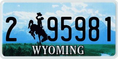 WY license plate 295981