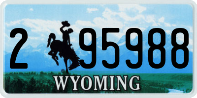WY license plate 295988