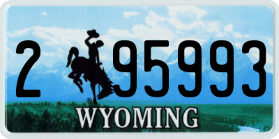 WY license plate 295993