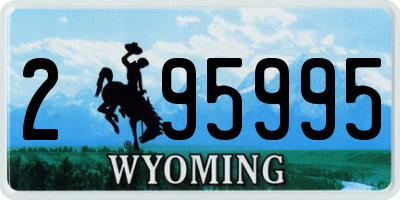 WY license plate 295995