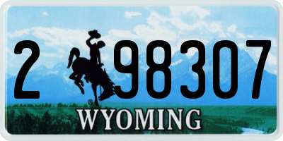 WY license plate 298307