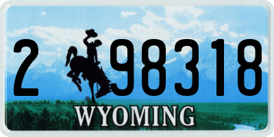 WY license plate 298318