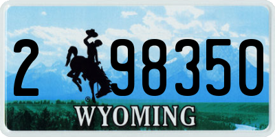 WY license plate 298350