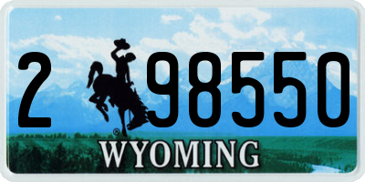 WY license plate 298550