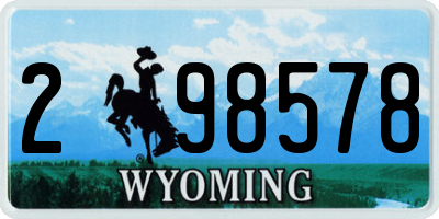 WY license plate 298578