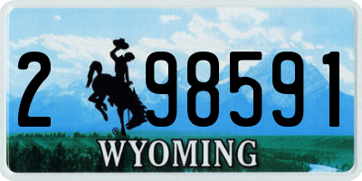 WY license plate 298591