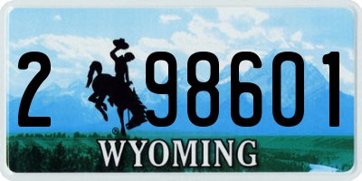 WY license plate 298601