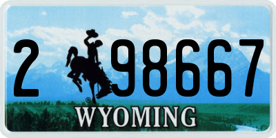 WY license plate 298667