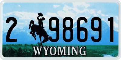WY license plate 298691
