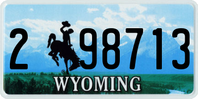 WY license plate 298713