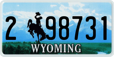 WY license plate 298731