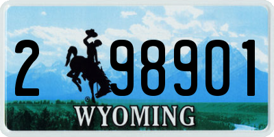WY license plate 298901