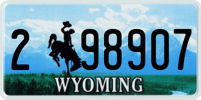 WY license plate 298907